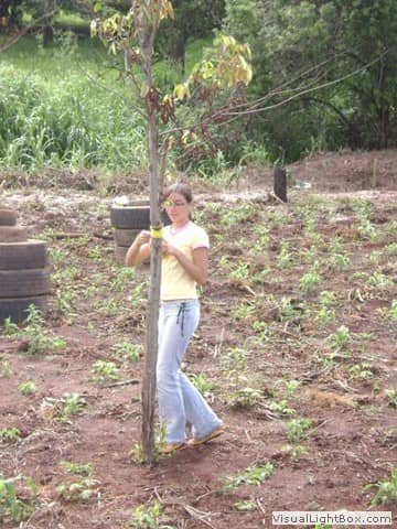 Foto do acervo de 2009 da Casa de Cultura (72 de 106).