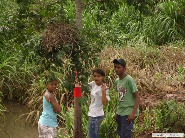 Foto do acervo de 2009 da Casa de Cultura (77 de 106).