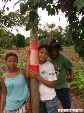Foto do acervo de 2009 da Casa de Cultura (79 de 106).