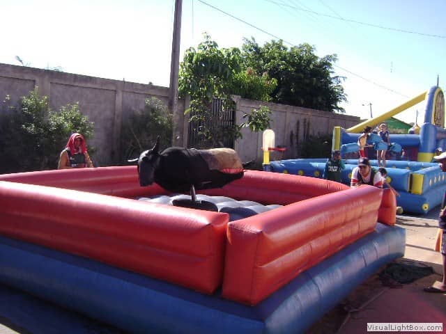 Foto do acervo de 2010 da Casa de Cultura (66 de 103).