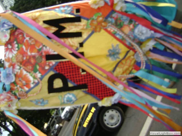 Foto do acervo de 2011 da Casa de Cultura (26 de 43).